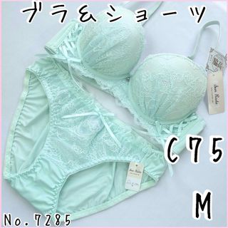 ブラジャーショーツセットC75    No.7285(ブラ&ショーツセット)