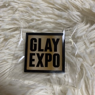 GLAY EXPO 2024 ランダムバラエティグッズ ピンバッジg(ミュージシャン)