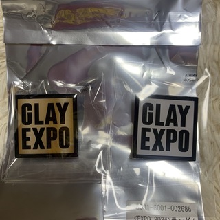 GLAY EXPO 2024 ランダムバラエティグッズ ピンバッジ　２種③(キャラクターグッズ)