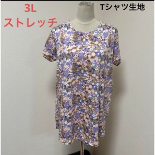 3L ストレッチ　Tシャツ生地　チュニック(チュニック)