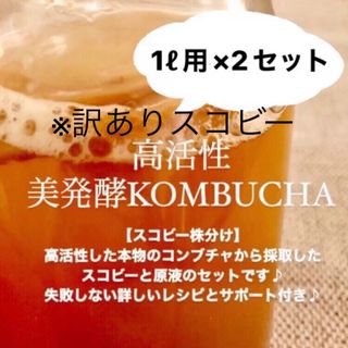 ※ 訳ありスコビー　コンブチャ2L作成用　紅茶きのこ(ダイエット食品)