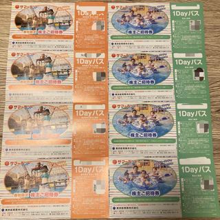 ◾️ 東京都競馬　株主優待　東京サマーランド1Dayパス　1セット(その他)