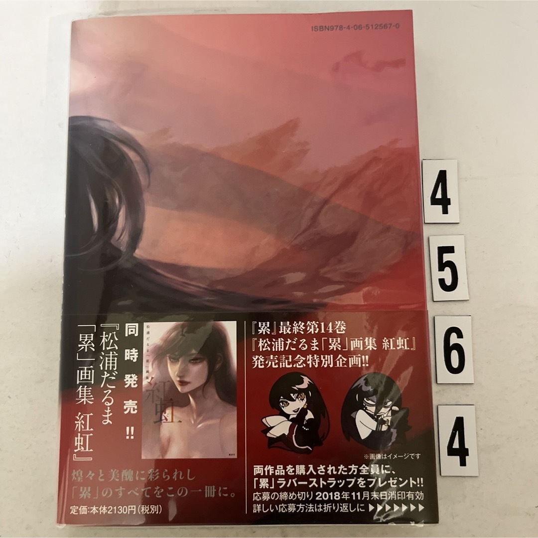 講談社 - 初版本/累/かさね/14巻/松浦だるまの通販 by はま仙人 講談社 - 初版本/累/かさね/14巻/松浦だるまの通販 by はま仙人