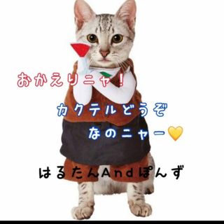 ペティオ(Petio)のホストにゃんこ！なりきり猫用着ぐるみバーテンダーホスト酒カクテルコスチューム(猫)