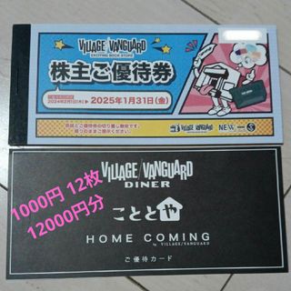 ヴィレッジヴァンガード 株主優待券 12枚 12000円分 ヴィレヴァン