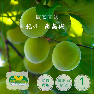 南高梅 1kg 2L-3L 特別栽培農産物 和歌山県産 青梅/完熟梅