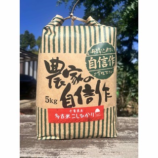 千葉県多古産　コシヒカリ　無洗米　5kg(米/穀物)
