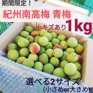 【期間限定】紀州南高梅　青梅1kg(フルーツ)