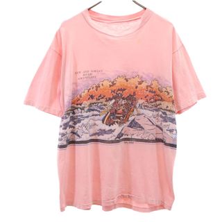 SAN SEGAL 90s オールド 半袖 Tシャツ ピンク SAN SEGAL メンズ(Tシャツ/カットソー(半袖/袖なし))