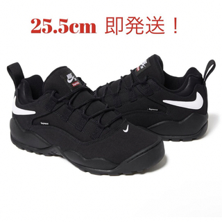 Supreme × Nike SB Darwin Low "Black 25.5(スニーカー)