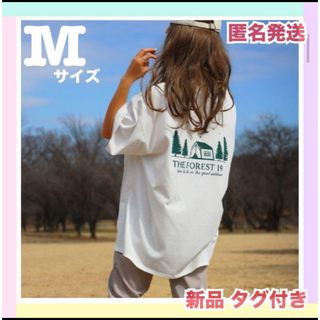 シマムラ(しまむら)の新品 nozomi プルオーバー Tシャツ 半袖 白 しまむら M レディース(Tシャツ(半袖/袖なし))