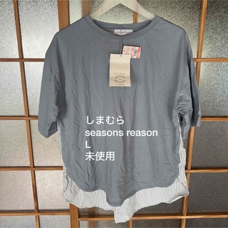 シマムラ(しまむら)のしまむら　seasons reason半袖(Tシャツ(半袖/袖なし))