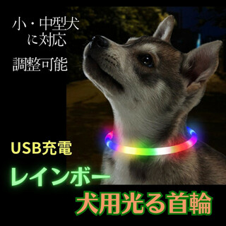 首輪 犬 光る レインボー おしゃれ 夜 散歩 LEDライト USB充電 安全 