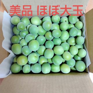 青梅　美品　大玉　無農薬　正味3kg(その他)