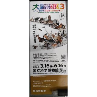 大哺乳類展3.『国立博物館』◼️１枚