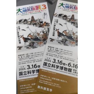 大哺乳類展３.『国立博物館』　　　　◼️2枚セット