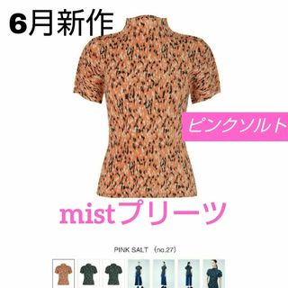 プリーツプリーズイッセイミヤケ(PLEATS PLEASE ISSEY MIYAKE)の値下げ💞プリーツプリーズ トップスmist6月FK303オンライン限定レア物(カットソー(半袖/袖なし))