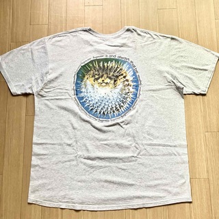 シュプリーム(Supreme)のSUPREME "Browfish Tee"(Tシャツ/カットソー(半袖/袖なし))