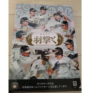 ホッカイドウニホンハムファイターズ(北海道日本ハムファイターズ)のファイターズ　クリアファイル(記念品/関連グッズ)