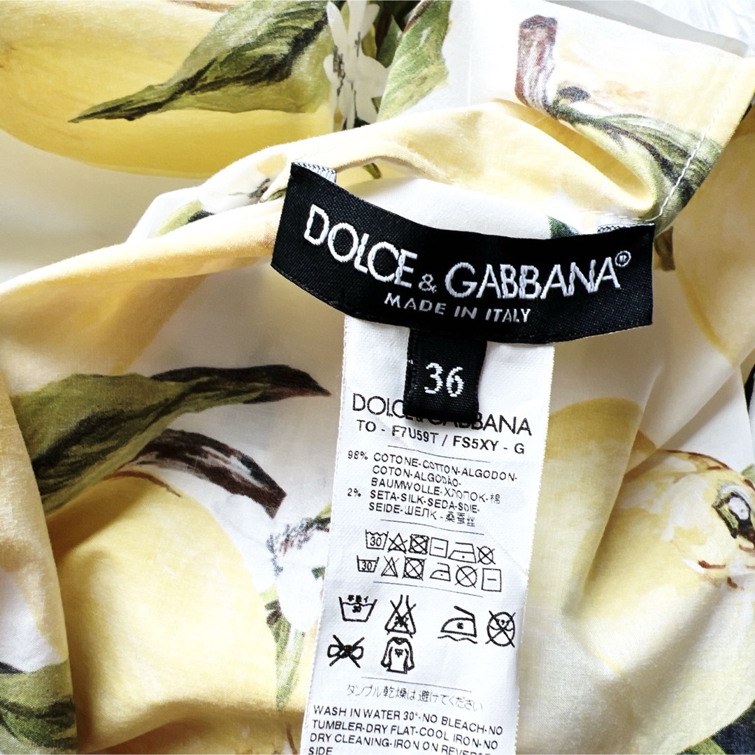 DOLCE&GABBANA - 極美品 DOLCE&GABBANA ドルガバ レモン柄 DOLCE&GABBANA - 極美品 DOLCE&GABBANA ドルガバ レモン柄
