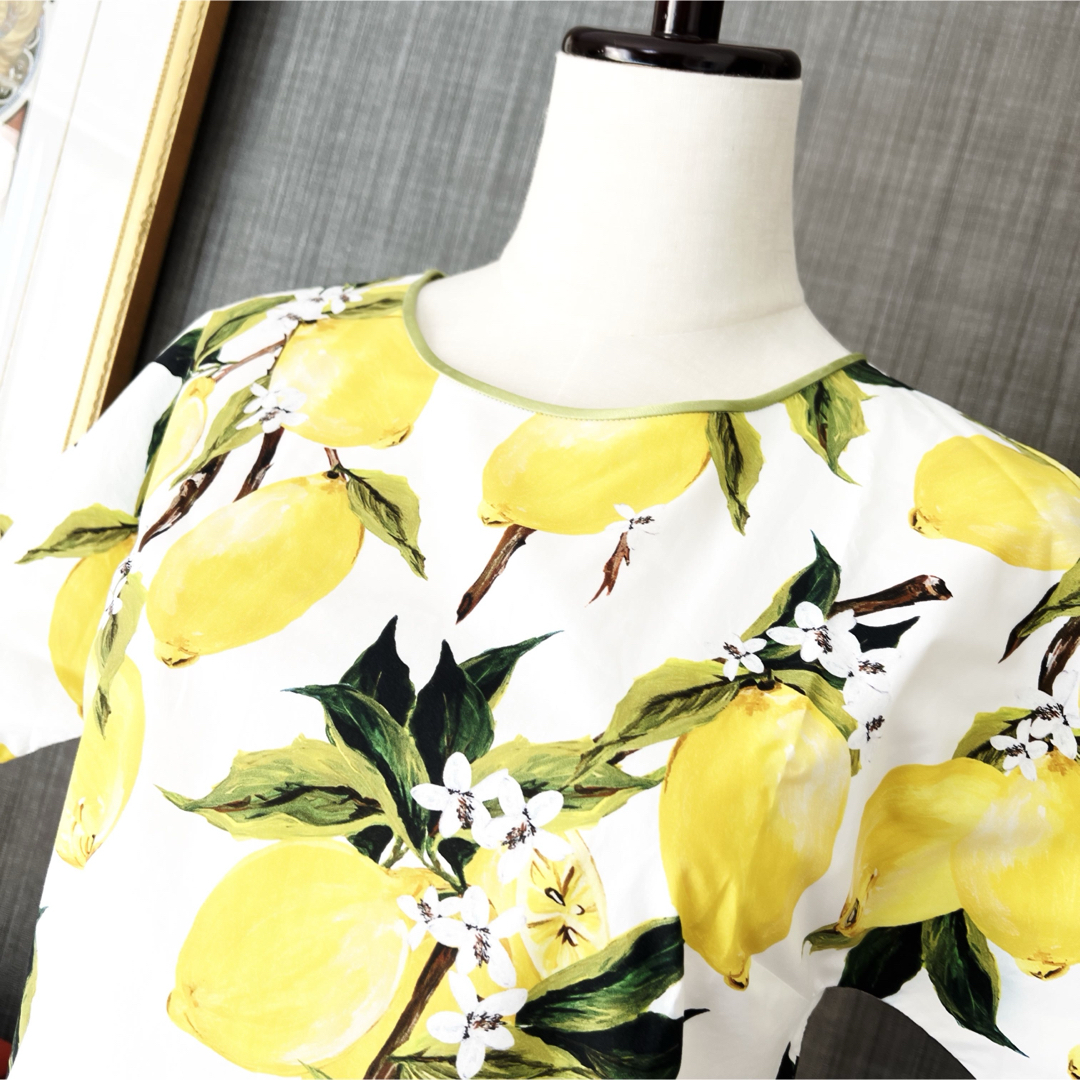 DOLCE&GABBANA - 極美品 DOLCE&GABBANA ドルガバ レモン柄 DOLCE&GABBANA - 極美品 DOLCE&GABBANA ドルガバ レモン柄
