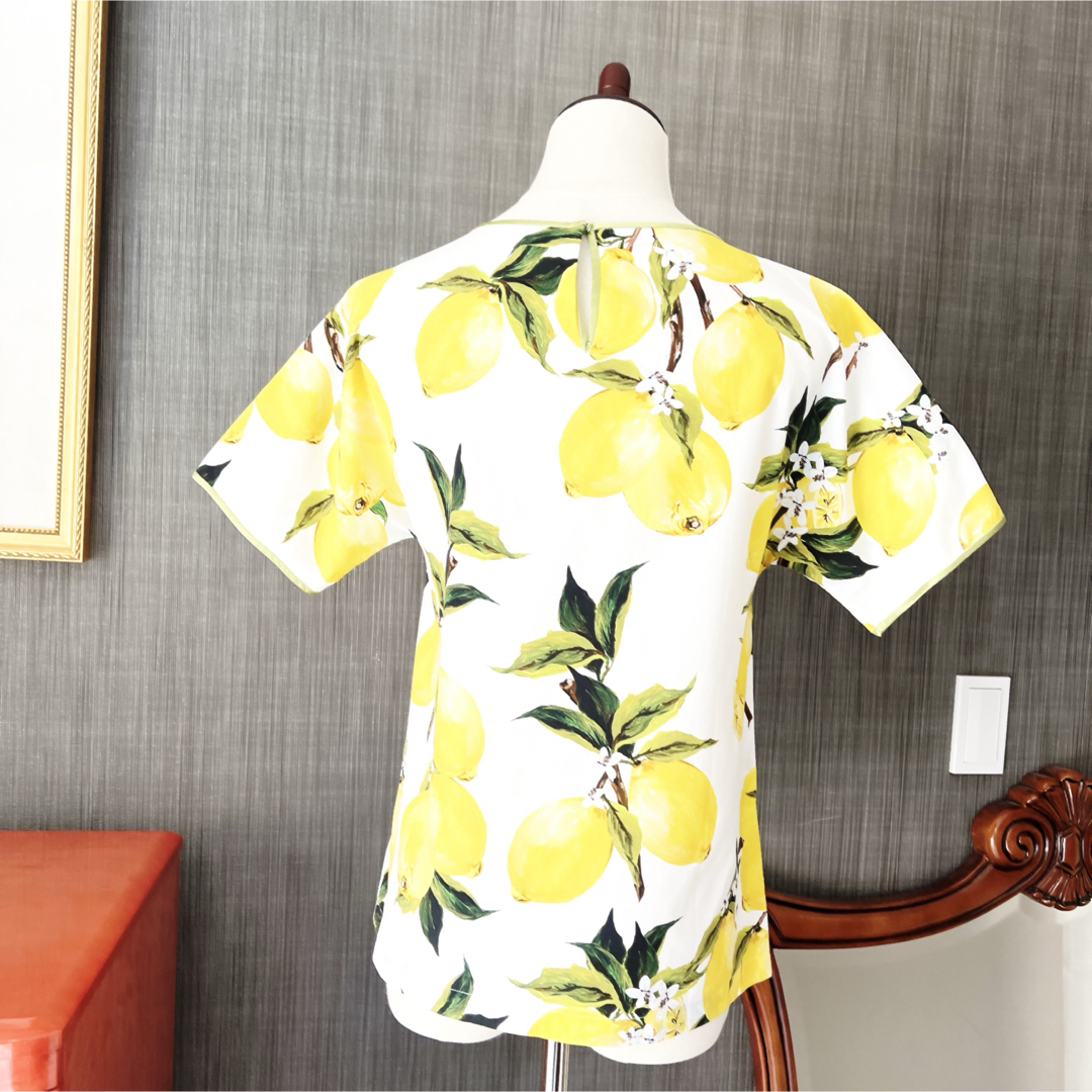 DOLCE&GABBANA - 極美品 DOLCE&GABBANA ドルガバ レモン柄 DOLCE&GABBANA - 極美品 DOLCE&GABBANA ドルガバ レモン柄