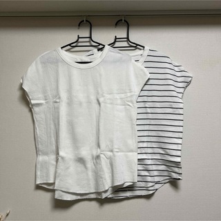 ◆green label relaxing◆コットン Tシャツ 2枚セット