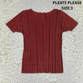 PLEATS PLEASE ISSEY MIYAKE - PLEATS PLEASE プリーツ加工 カットソー 半袖 サイズ3 赤茶系