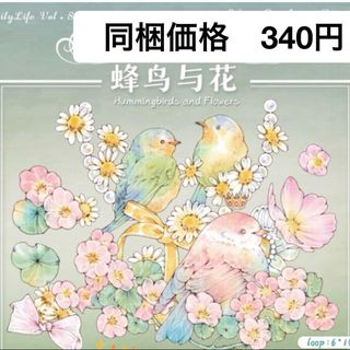 【海外マステ切り売り155】DailyLife 蜂鸟与花　贝壳光 PET 白墨(テープ/マスキングテープ)