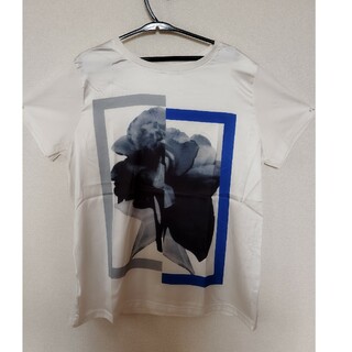 【新品】シルク92%  ポリウレタ8%　 Tシャツ ホワイト 半袖(Tシャツ(半袖/袖なし))
