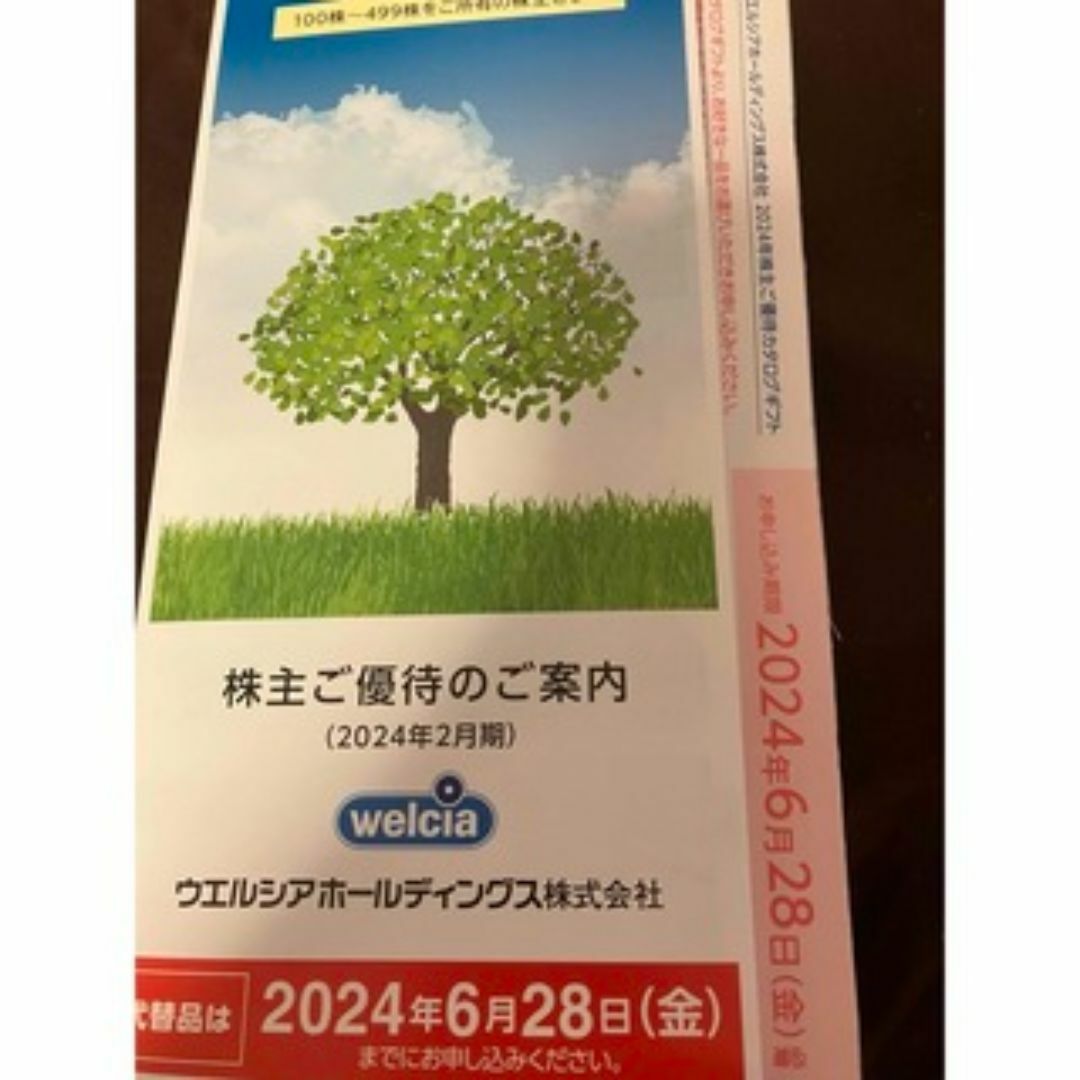 ウエルシア 株主優待3000円分 チケットの優待券/割引券(ショッピング)の商品写真