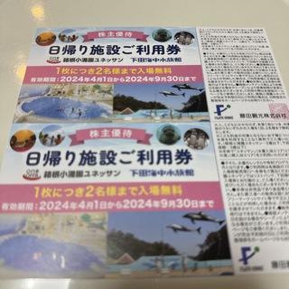 藤田観光 株主優待券 2枚　有効期限：2024年9月末