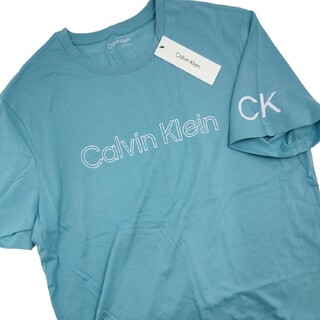 Calvin Klein - カルバンクライン ロゴTシャツ 大きいサイズ US Lサイズ 水色 CKロゴ