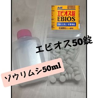 ゾウリムシ 50ml エビオス 50錠 培養お試しセット!!