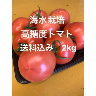 【シーズン終盤値引】海水栽培　高糖度トマト　大分県産　2kg