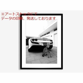 mz ポスター A3 (A4も可) フェラーリ ポスター 白黒の高級ウォールアー