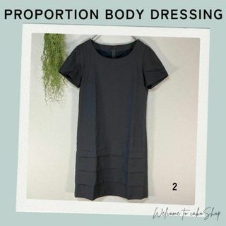 プロポーションボディドレッシング(PROPORTION BODY DRESSING)のプロポーションボディドレッシング　半袖シンプルワンピース２グレー(ひざ丈ワンピース)