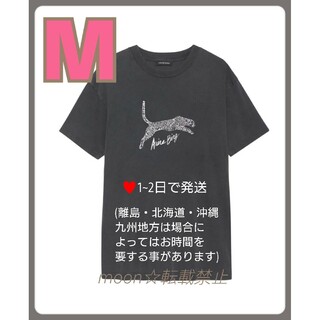 【新品】ANINE  BING　アニービン　レオパード  Tシャツ　M(Tシャツ(半袖/袖なし))