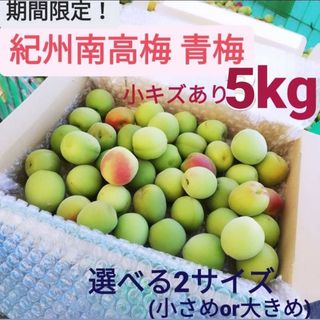 【期間限定！】紀州南高梅 青梅5kg小さめ傷あり