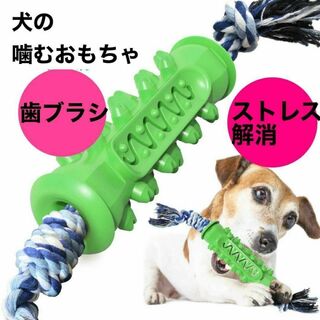 グリーン 犬 噛むおもちゃ 歯ブラシ 犬用 おもちゃ 歯磨き ストレス解消(犬)