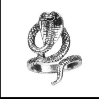 2852 蛇 リング 指輪 シルバー スネーク メンズ 爬虫類 コブラ蛇の指(リング(指輪))