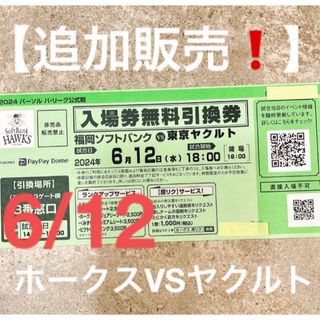 値下げ不可6/7で削除❗️ホークスVSヤクルト6/12試合チケット2枚セット(野球)