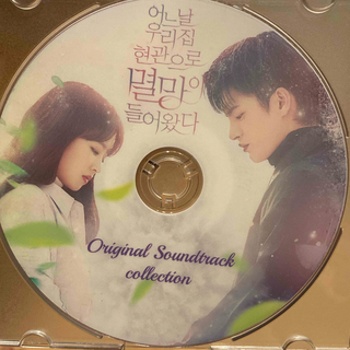 韓国ドラマ　ある日、私の家の玄関に滅亡が入ってきた　OST DVD 1枚