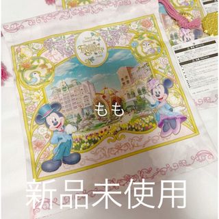 ファンタジースプリングス　ホテル　ディズニー　ミッキー　ミニー　きんちゃく　巾着(キャラクターグッズ)
