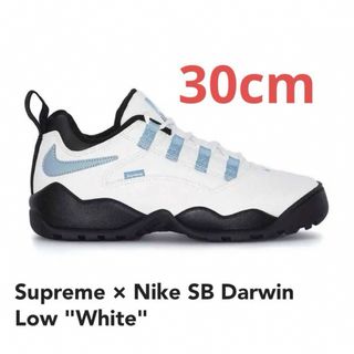 Supreme - Supreme × Nike SB Darwin Low Sail 30cm