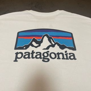 パタゴニア(patagonia)のおかえり様専用Patagonia Tシャツ　メンズ　Sサイズ(Tシャツ/カットソー(半袖/袖なし))