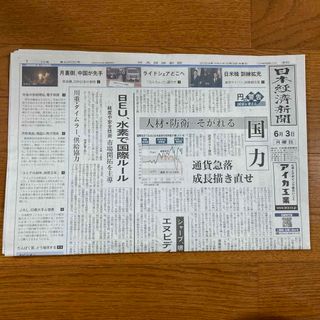 【朝刊】日本経済新聞 2024年6月3日(ニュース/総合)