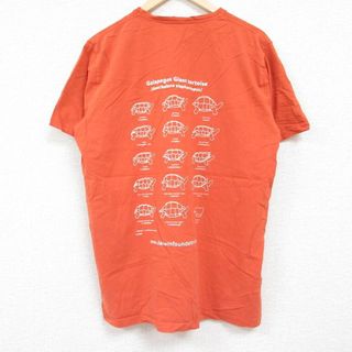 XL★古着 半袖 Tシャツ メンズ カメ コットン クルーネック オレンジ 24jun01 中古(Tシャツ/カットソー(半袖/袖なし))