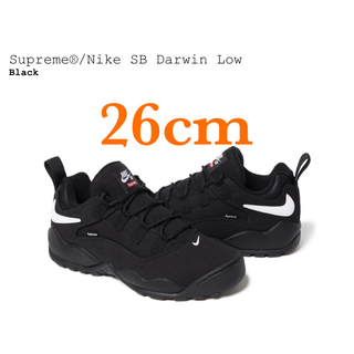 Supreme Nike SB Darwin Low BLACK 26cm