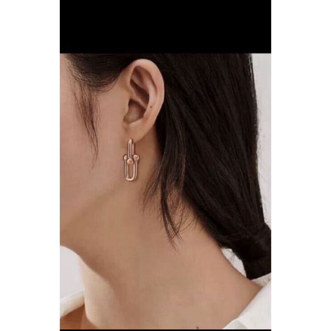 Tiffany & Co. - 未使用 定価62万 ティファニー ハードウェア Tiffany & Co. - 未使用 定価62万 ティファニー ハードウェア